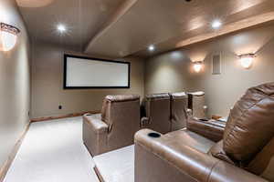 Cinema featuring carpet and recessed lighting