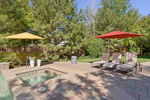 View of pool featuring a fenced backyard, a patio, and an in-ground hot tub