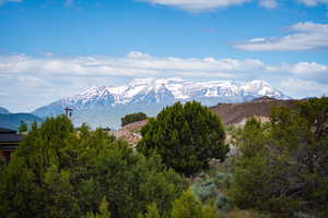 View of mountain background