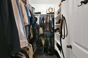 View of walk in closet