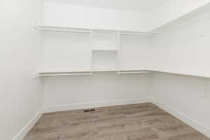 Walk in closet featuring light wood-style floors