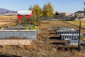 View of back of yard featuring garden boxes, fruit trees, and shed