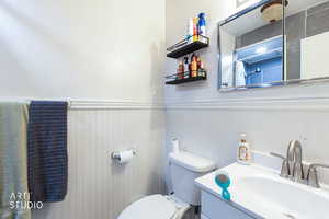 Full bathroom featuring vanity, a wainscoted wall, and curtained shower