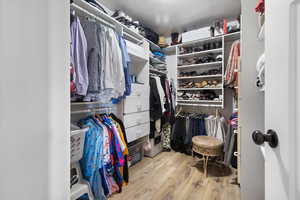 Primary walk-in closet with light wood-type flooring