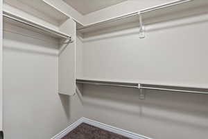 Spacious closet with carpet