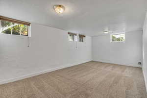 Below grade area with carpet flooring and a textured wall