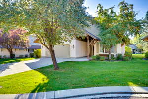 View of property hidden behind natural elements featuring driveway, a front yard, a garage, and stucco siding
