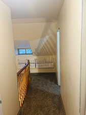 Additional living space featuring dark carpet