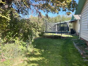 View of grassy yard with a trampoline