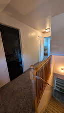 Staircase with carpet flooring