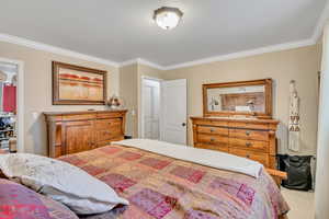 Carpeted bedroom featuring ornamental molding and a closet