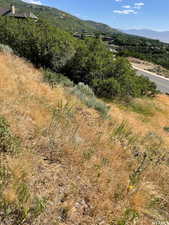 View of mountain backdrop