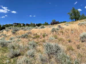 View of undeveloped land featuring rural landscape
