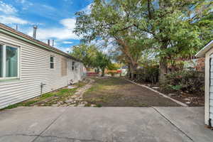 View of yard with a patio