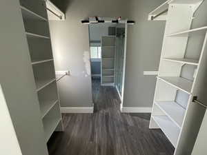 Walk in closet with dark wood-type flooring