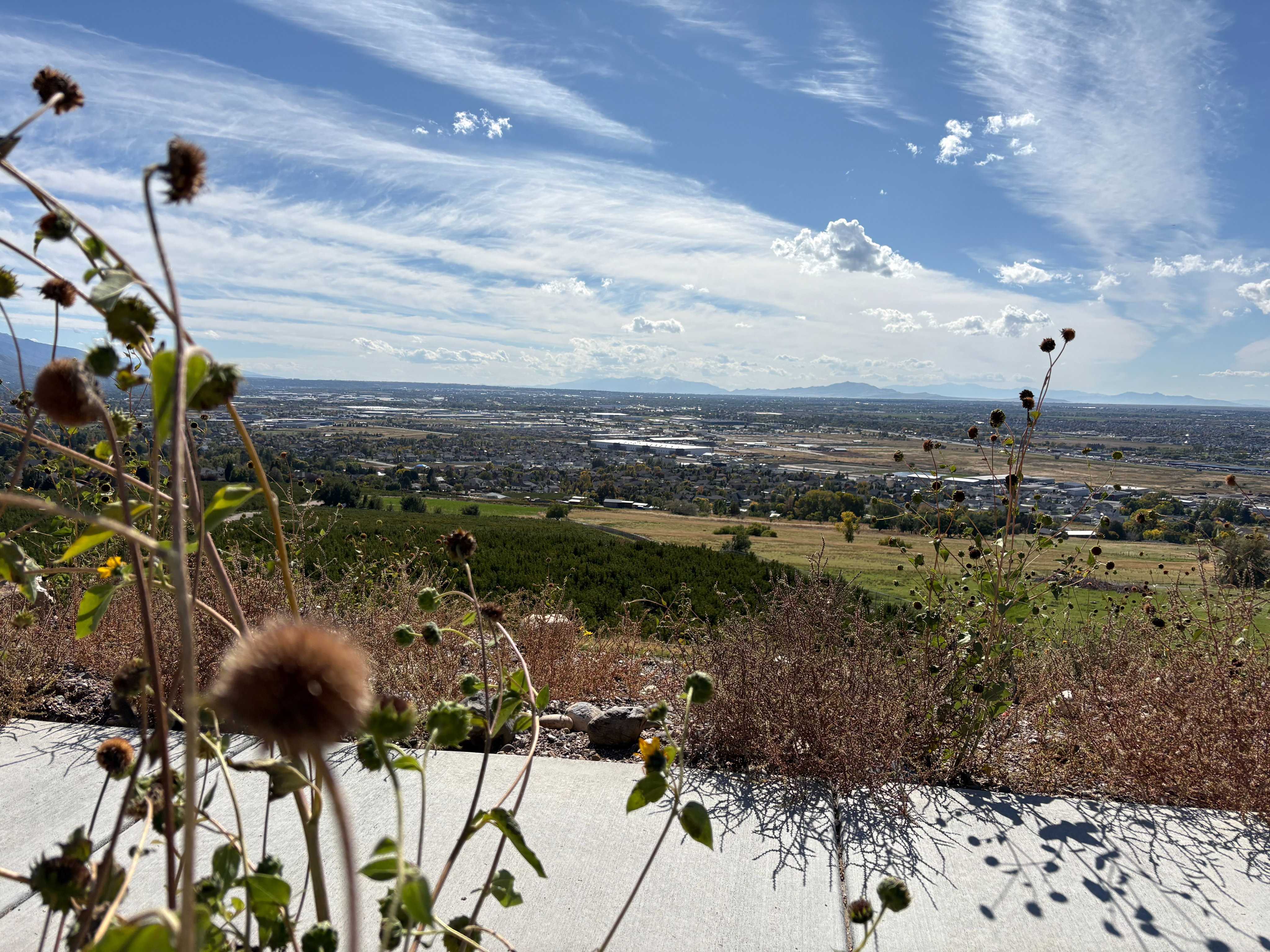 View of yard with a mountain view