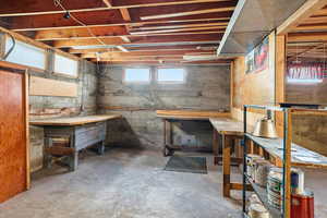 Basement with a workshop area