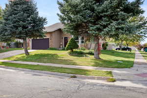 Obstructed view of property with a front lawn, driveway, a garage, brick siding, and roof with shingles