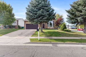 View of property hidden behind natural elements with concrete driveway, brick siding, a front lawn, and an attached garage