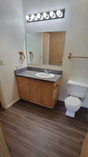 Bathroom with vanity and dark wood-style flooring