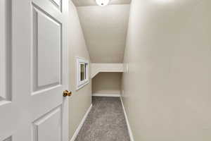 Walk in closet featuring vaulted ceiling and dark carpet