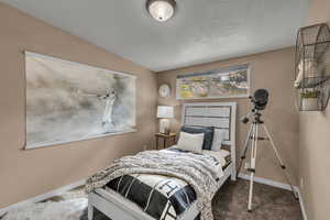 Carpeted bedroom featuring baseboards and a textured ceiling