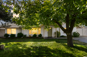 View of property hidden behind natural elements with stucco siding and a front lawn