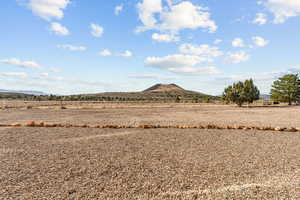View of yard featuring a mountain view and a view of rural / pastoral area