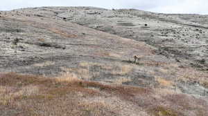 Exterior view of a mountain backdrop