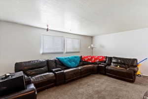 Unit 4 Carpeted living room with a textured ceiling
