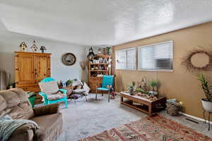 Unit 3 Living room featuring a textured ceiling and carpet