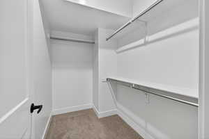 Spacious closet featuring light carpet
