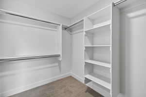 Walk in closet with light carpet