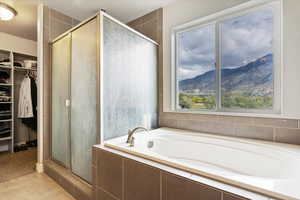 Full bathroom with a walk in closet, a shower stall, a bath, and a mountain view