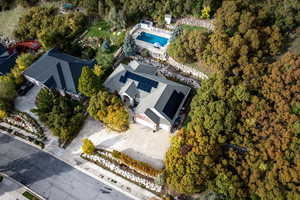 Bird's eye view of a pool