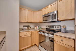 Kitchen with stainless steel appliances and recessed lighting