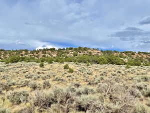 View facing East/ Hillside