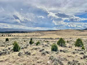 View Facing West/Runway