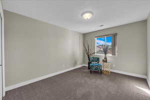 Unfurnished room featuring carpet floors and a textured ceiling