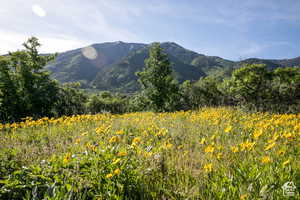 View of mountain backdrop