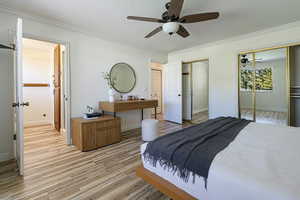Bedroom with two closets, light wood-type flooring, ornamental molding, and a ceiling fan