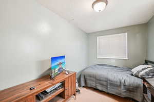 Carpeted bedroom featuring a textured ceiling