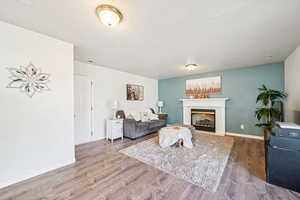 Living room with wood finished floors, a glass covered fireplace, and a textured ceiling