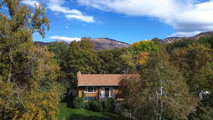Mountain view with a forest