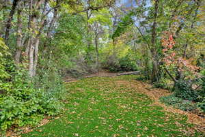 View of grassy yard featuring a forest view