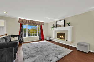 Living area with dark wood-style flooring, crown molding, and a premium fireplace