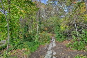 View of yard featuring a wooded view