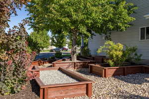 View of yard featuring a garden