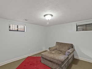 Sitting room with carpet flooring and a textured ceiling