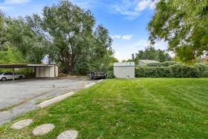 View of asphalt driveway